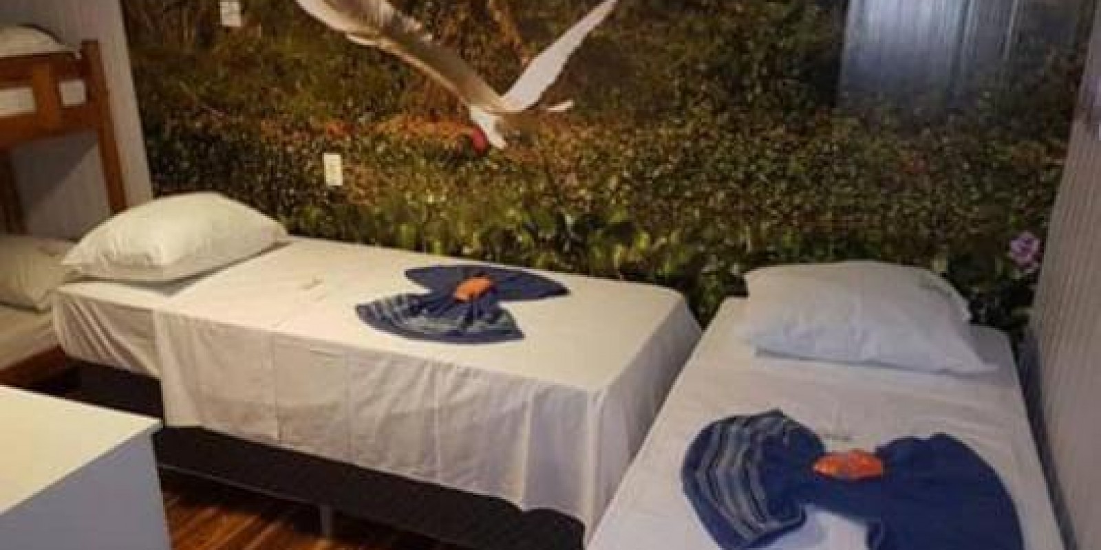 Barco Hotel Oasis - Porto Carcado - 28 pessoas - Foto 14 de 20