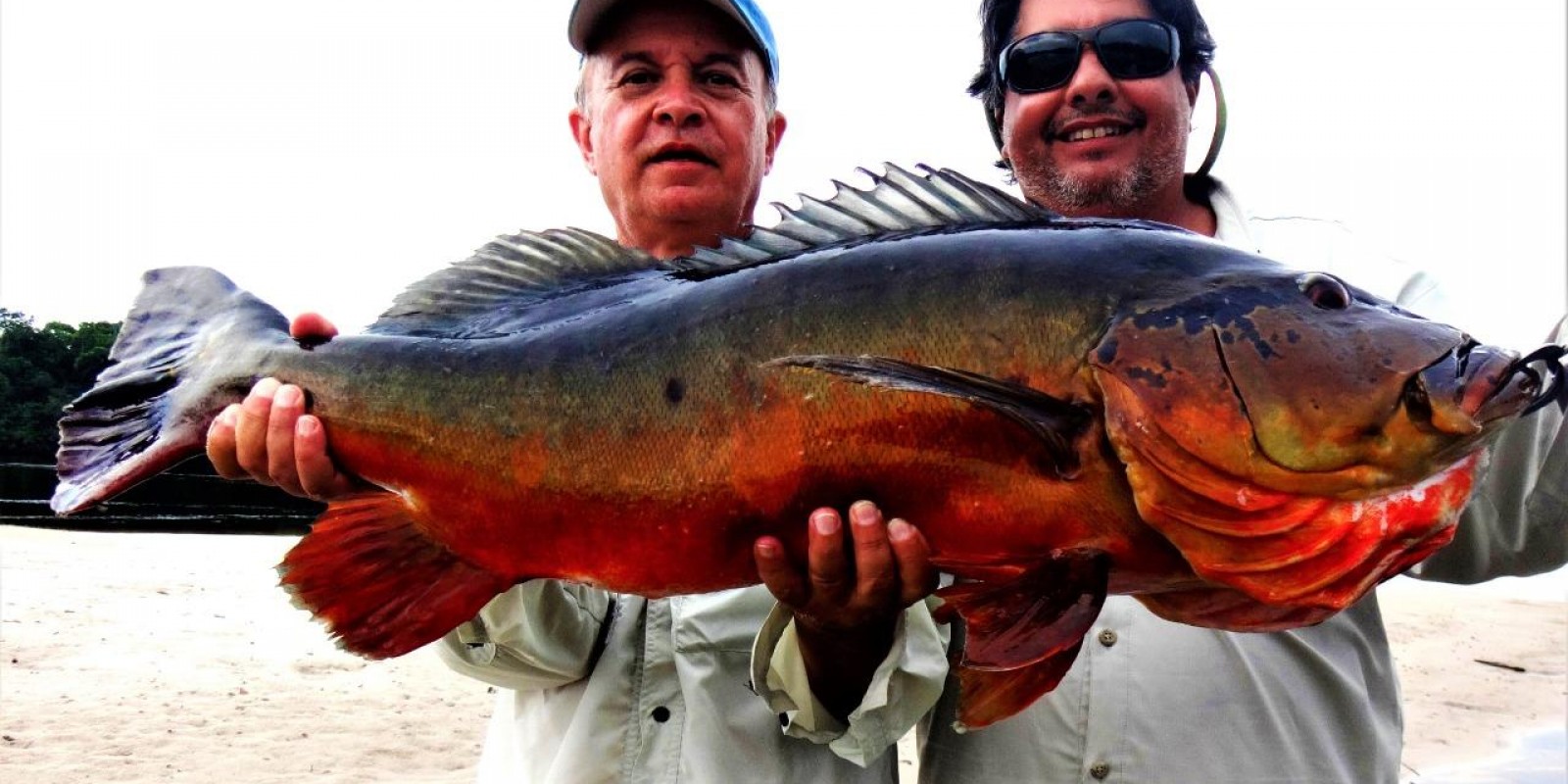 Barco Amazon Sport Fishing - capacidade 14 pessos - Foto 2 de 24