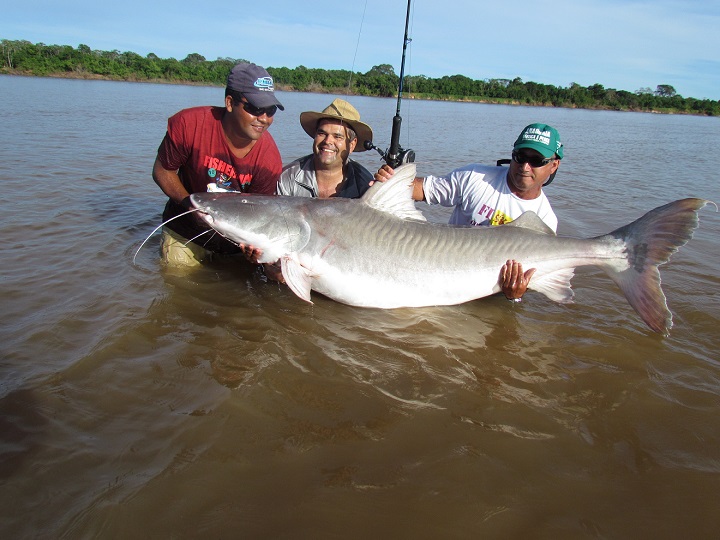 HOTEL PESCADOR - Image 7